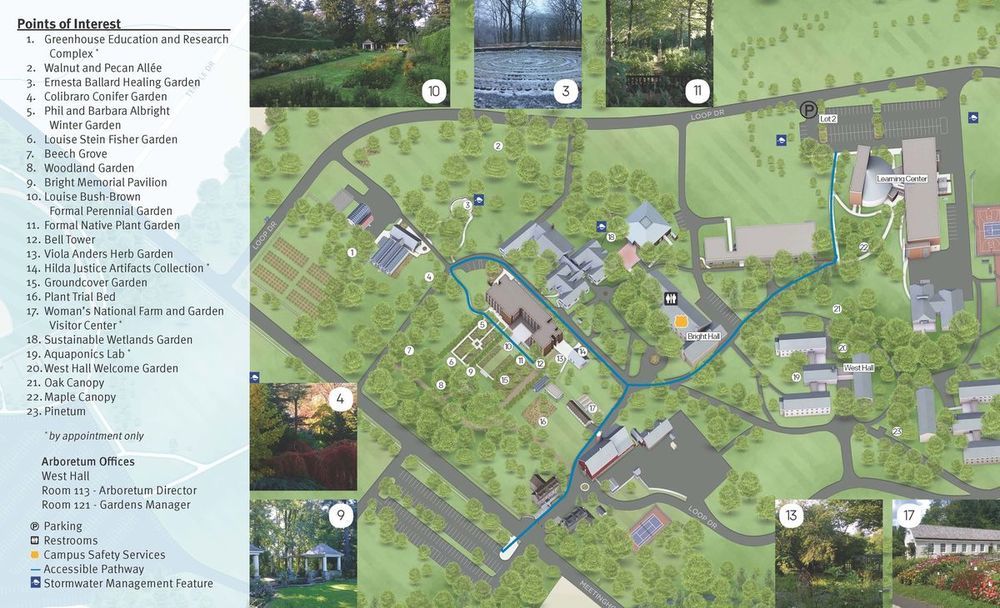 Self Guided Tour Ambler Arboretum Temple University Ambler Campus